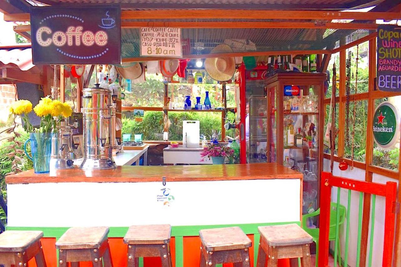 Hostal Estrella De Agua Salento Eksteriør billede