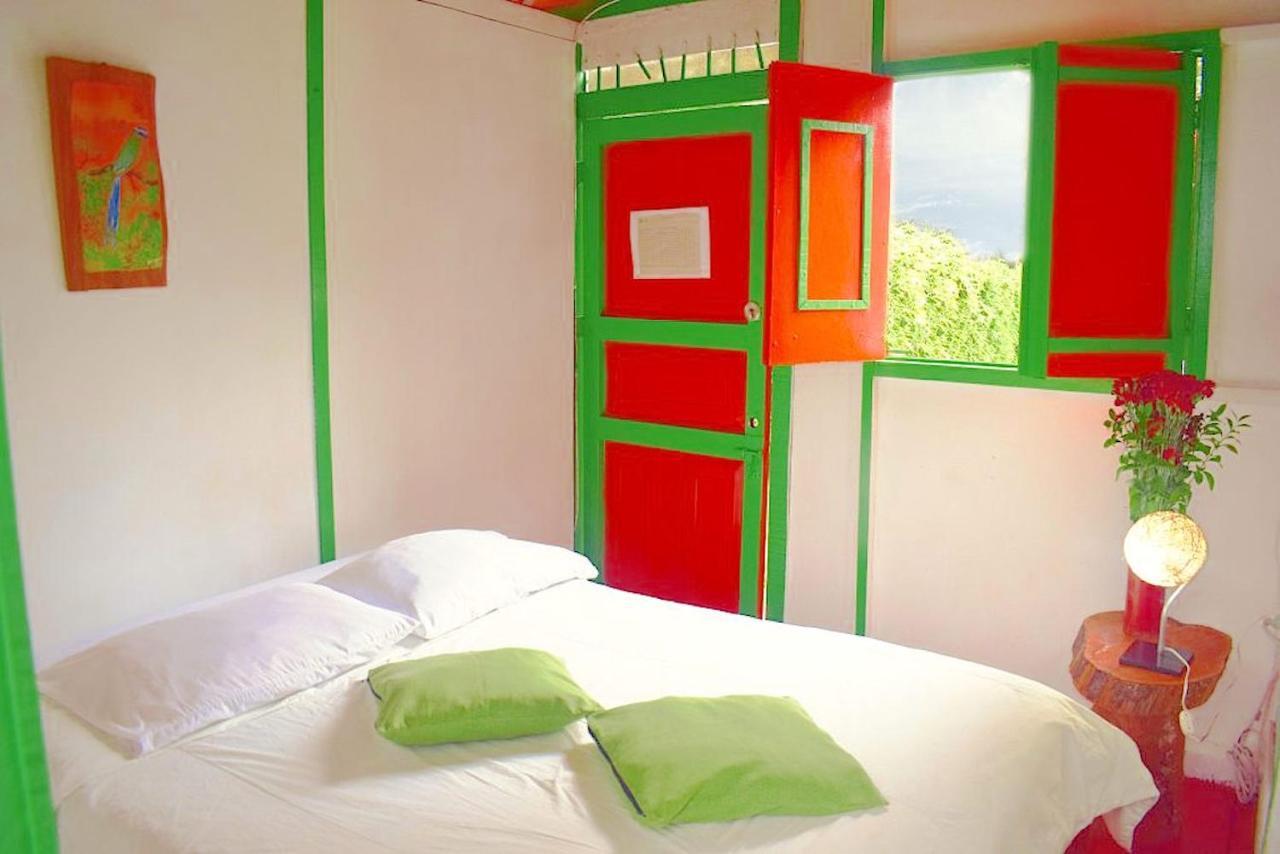 Hostal Estrella De Agua Salento Eksteriør billede