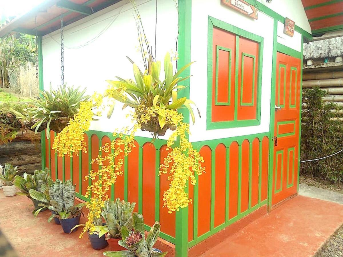 Hostal Estrella De Agua Salento Eksteriør billede
