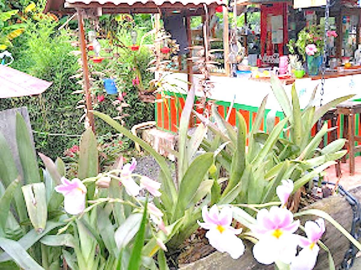 Hostal Estrella De Agua Salento Eksteriør billede