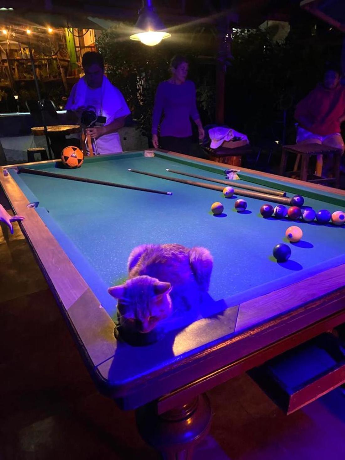 Hostal Estrella De Agua Salento Eksteriør billede
