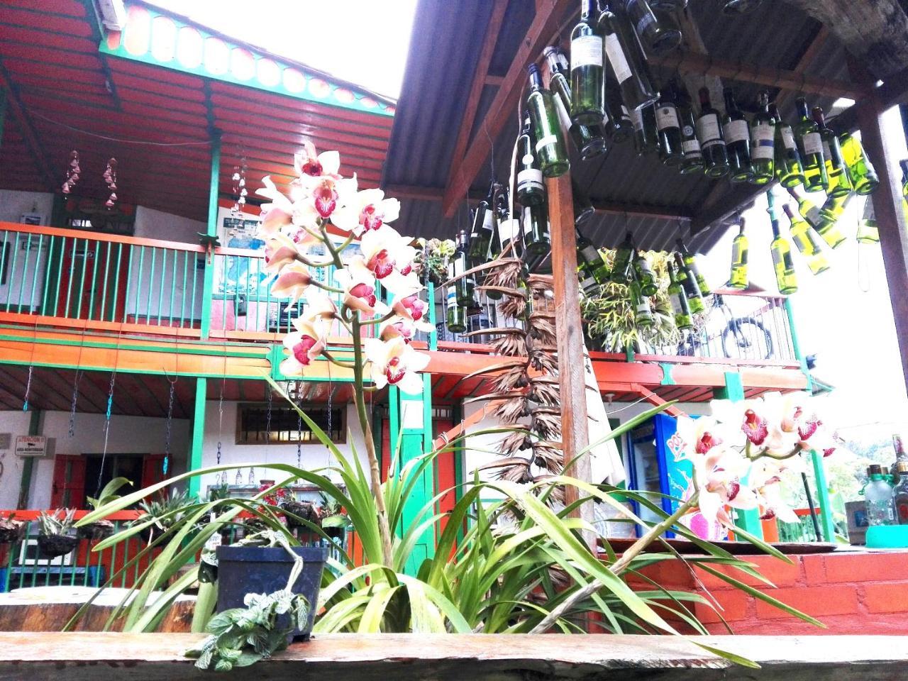 Hostal Estrella De Agua Salento Eksteriør billede